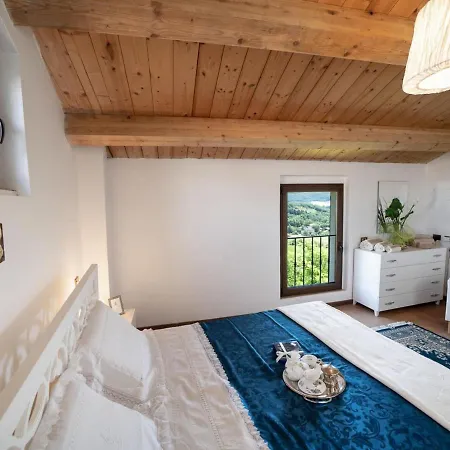 Apartment Amazing In With Shared Pool *